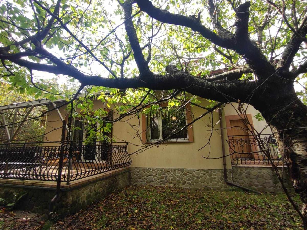 Chalet Oaza Spokoju - - Spacerowa 32